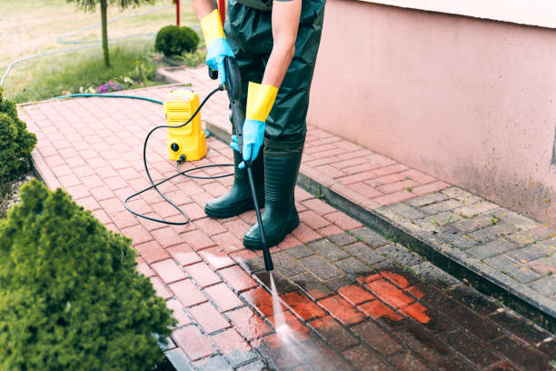 Best Concrete Pressure Washing  in Carpendale, WV