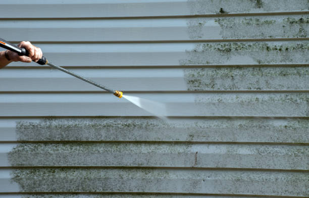 Best Roof Pressure Washing  in Carpendale, WV
