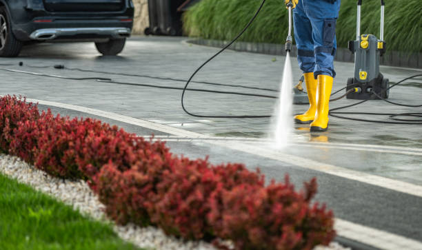 Best Affordable Power Washing  in Carpendale, WV