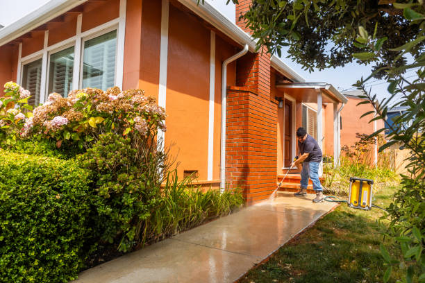 Best Exterior Home Cleaning  in Carpendale, WV